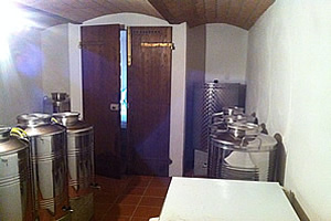 oliveoil cellar